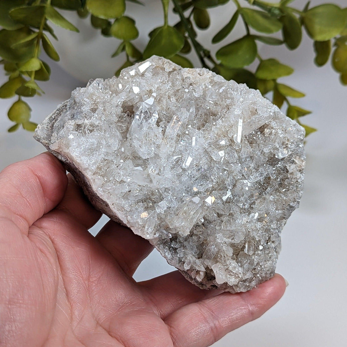  Quartz Points Crystal Cluster | 499 gr | Schodack Landing, New York USA 9