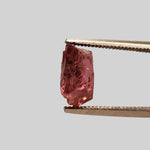  Raw Color Change Garnet | Rough Garnet | 8.0x5.8mm | Africa 1