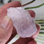  Raw Kunzite | Rough Spodumene | Lilac Pink | 230ct 46gr | Afghanistan 6