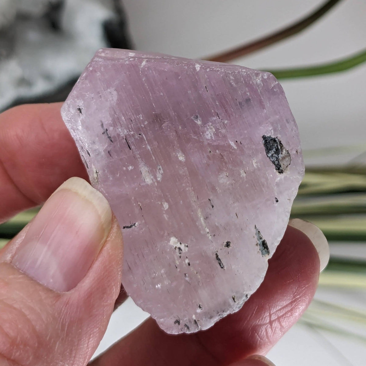  Raw Kunzite | Rough Spodumene | Lilac Pink | 230ct 46gr | Afghanistan 7