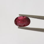  Ruby | Oval Cut | Pigeon Blood Red | 9x6.5mm 1.67ct | Madagascar | SO24 2