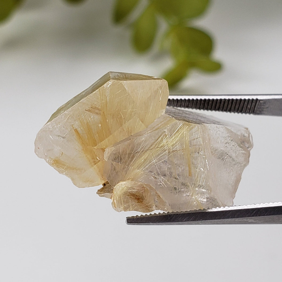  Rutilated Quartz Crystal | Rutilated Quartz Point | 6.8 grams | Novo Horizonte, Bahia, Brazil | SO24 
