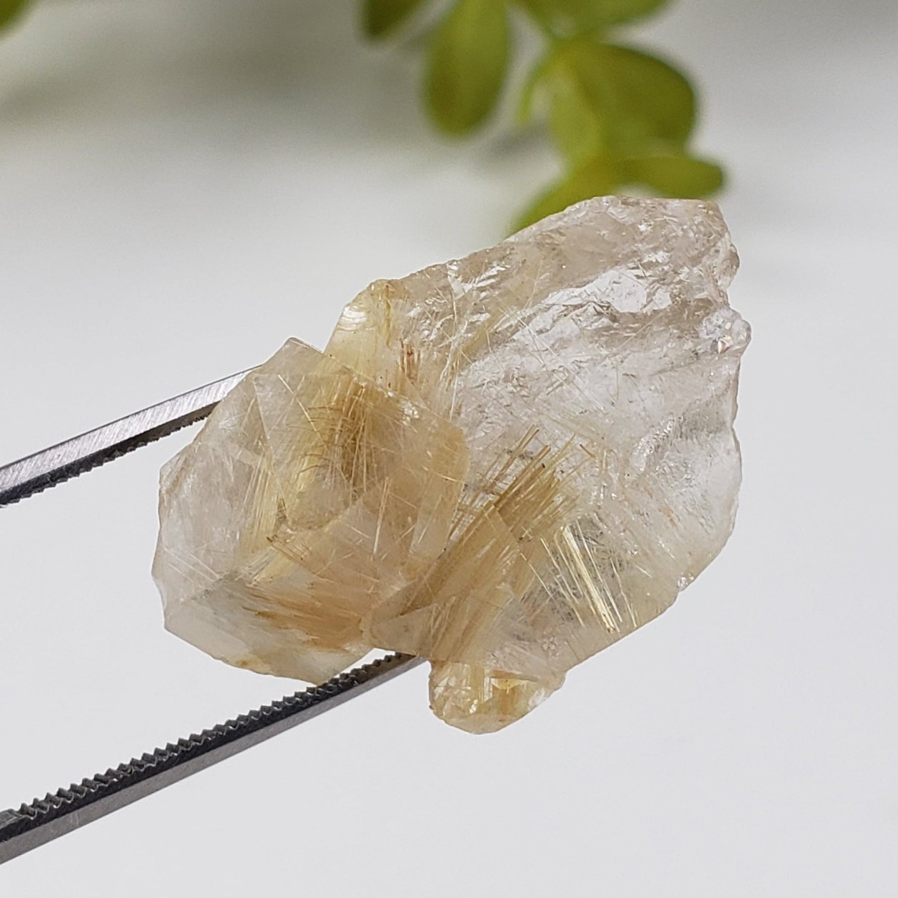 Rutilated Quartz Crystal | Rutilated Quartz Point | 6.8 grams | Novo Horizonte, Bahia, Brazil | SO24 1