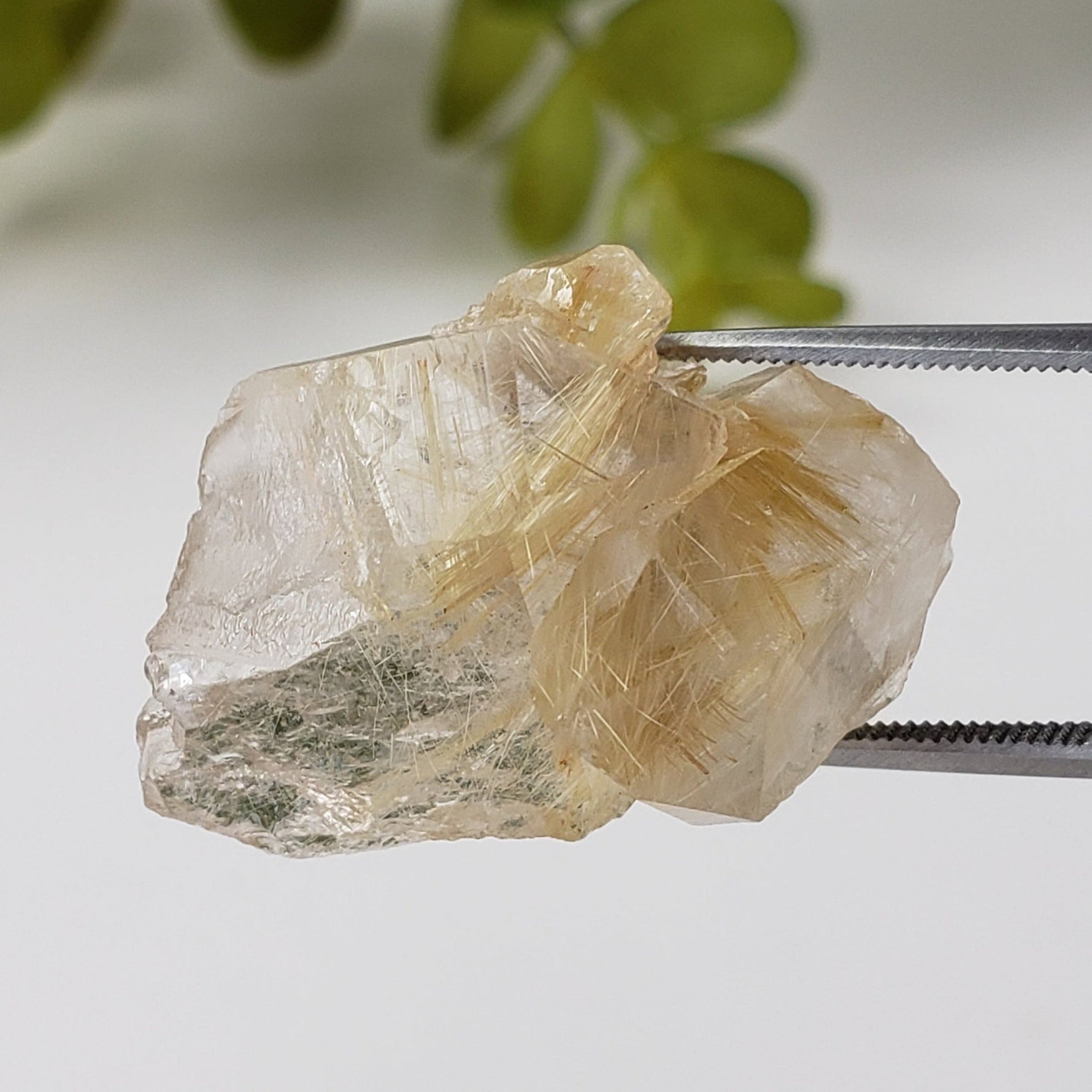  Rutilated Quartz Crystal | Rutilated Quartz Point | 6.8 grams | Novo Horizonte, Bahia, Brazil | SO24 3
