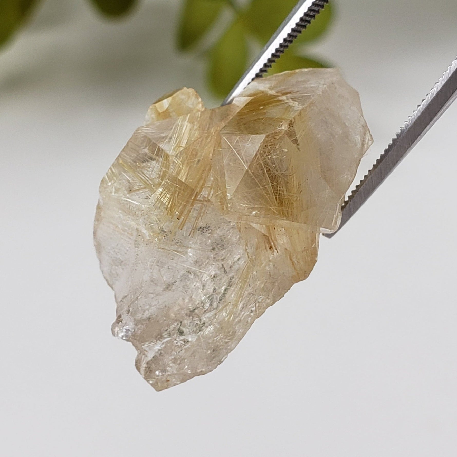  Rutilated Quartz Crystal | Rutilated Quartz Point | 6.8 grams | Novo Horizonte, Bahia, Brazil | SO24 4