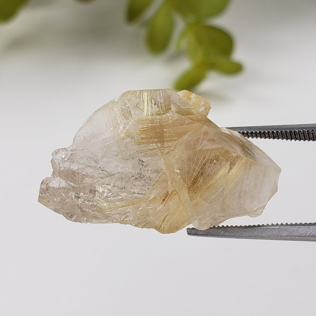  Rutilated Quartz Crystal | Rutilated Quartz Point | 6.8 grams | Novo Horizonte, Bahia, Brazil | SO24 5
