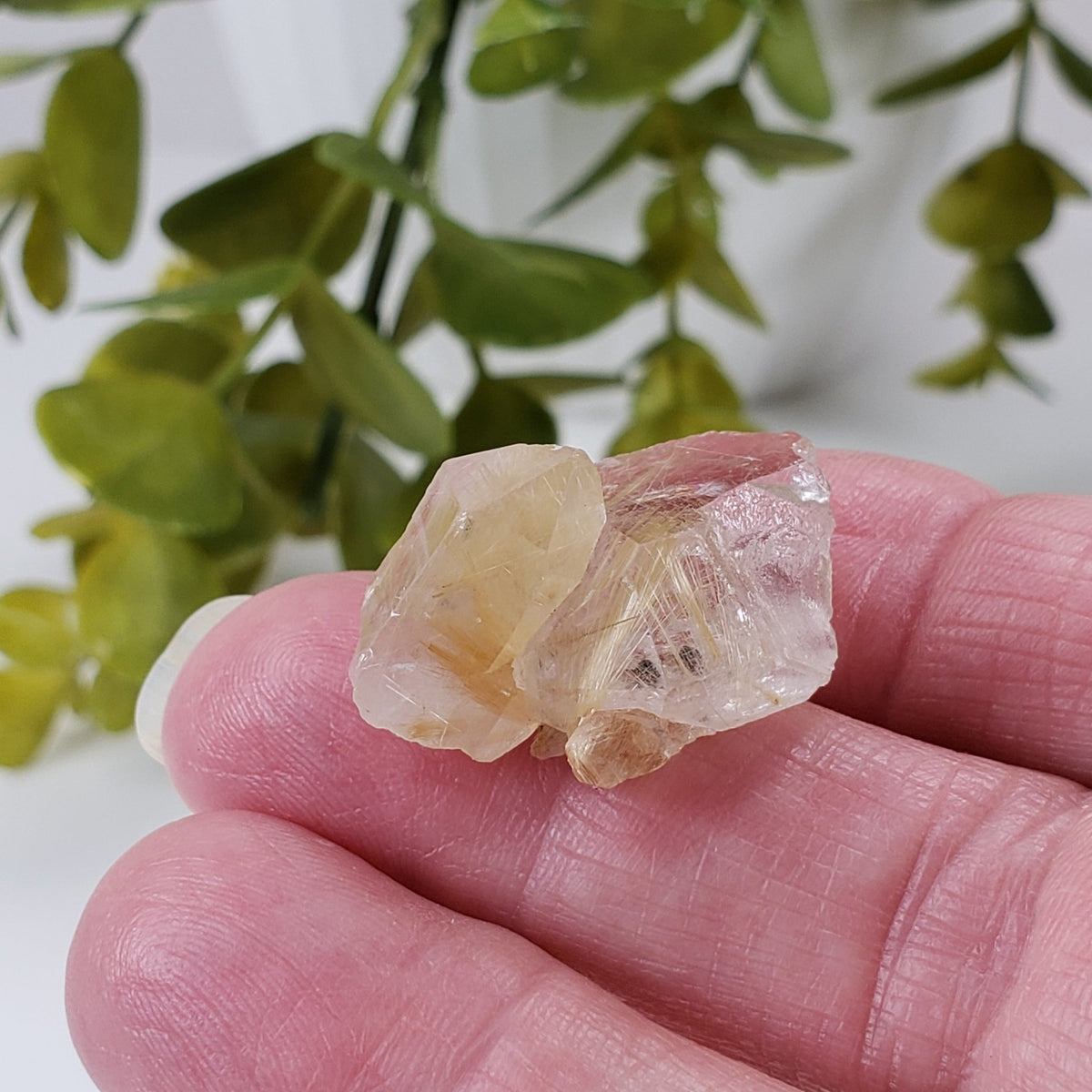 Rutilated Quartz Crystal | Rutilated Quartz Point | 6.8 grams | Novo Horizonte, Bahia, Brazil | SO24 7