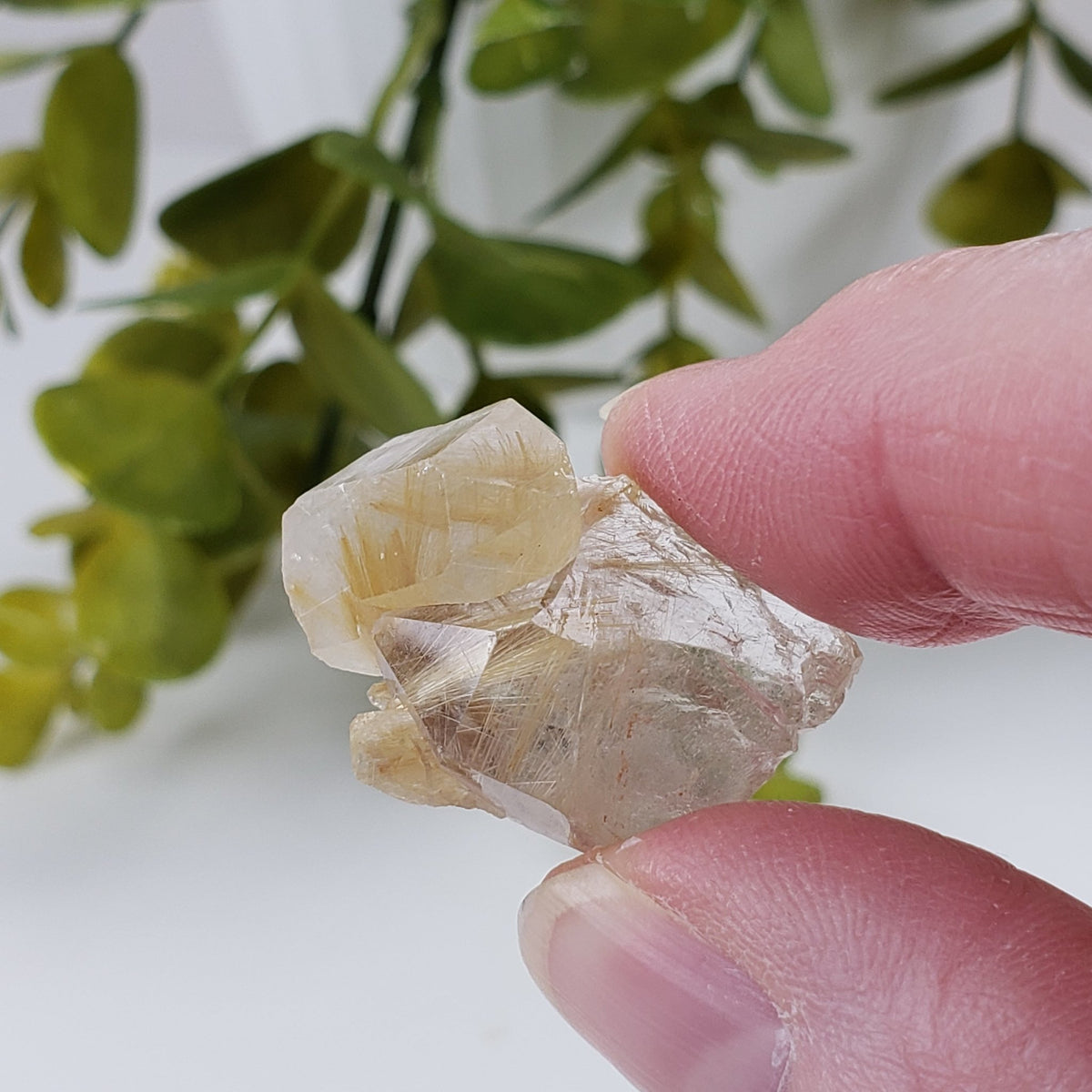  Rutilated Quartz Crystal | Rutilated Quartz Point | 6.8 grams | Novo Horizonte, Bahia, Brazil | SO24 8