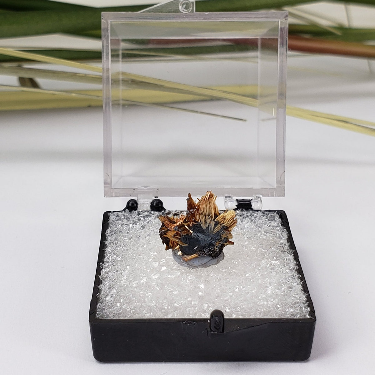  Rutile with Hematite  | Perky Box Thumbnail Specimen | Brazil | SO24 8