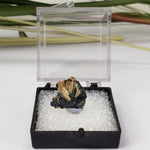  Rutile with Hematite  | Perky Box Thumbnail Specimen | Brazil | SO24 6