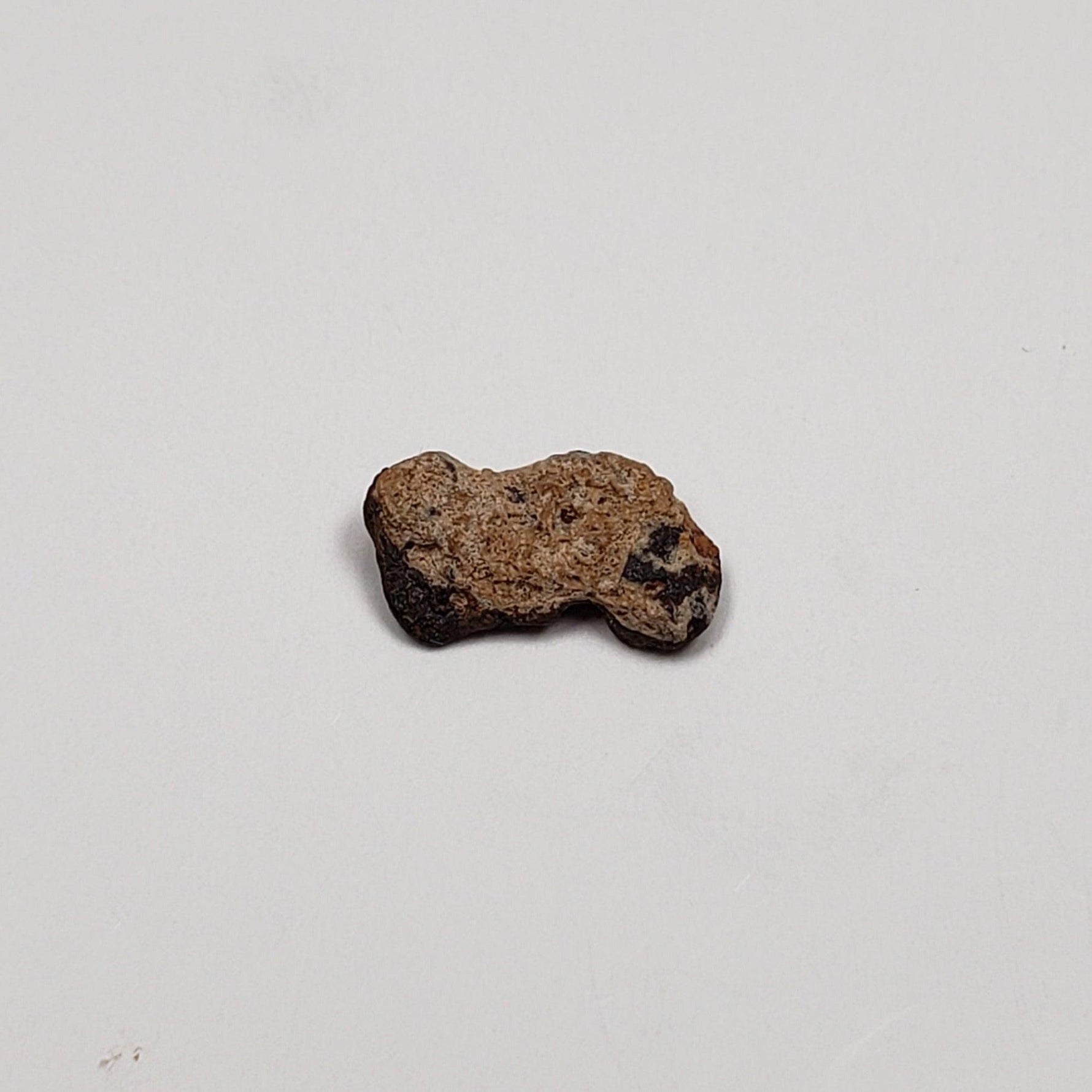  Sacramento Wash SaW 005 Meteorite | 0.57 Grams | H- Metal | Rare Meteorite | Arizona | SO24 5