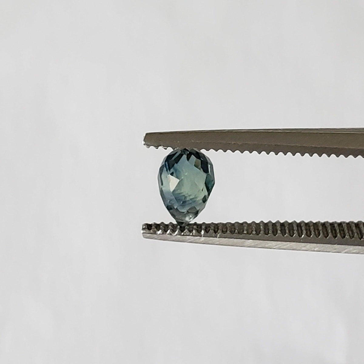  Sapphire | Briolette | Bi-Colour | 5.5x3.5mm | .54ct | SO24 6