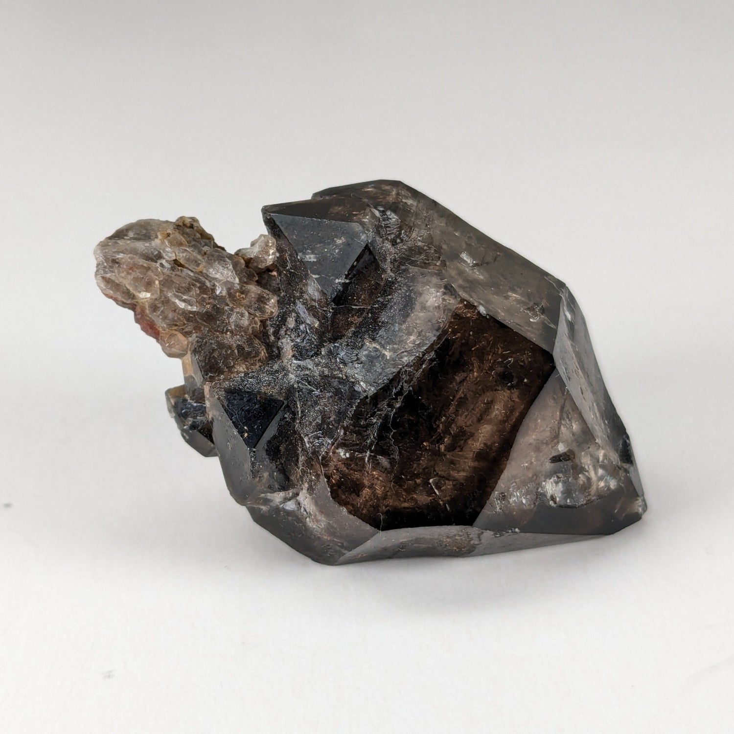  Scepter Smoky Quartz Crystal | 36mm 14gr | Mont St-Hilaire, Quebec, Canada 1