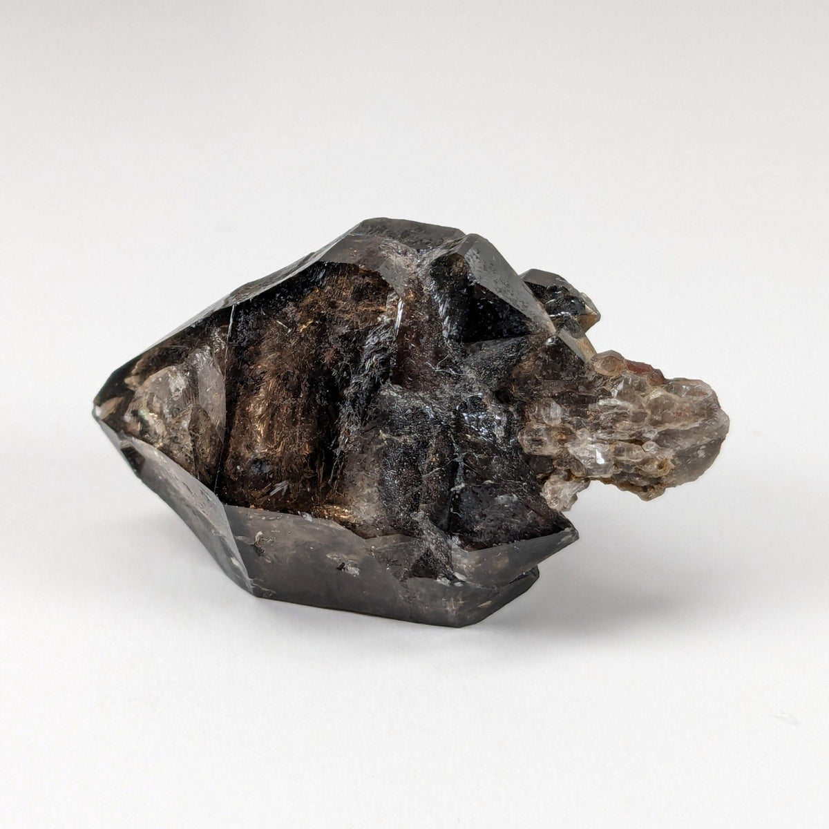  Scepter Smoky Quartz Crystal | 36mm 14gr | Mont St-Hilaire, Quebec, Canada 