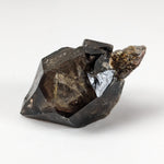  Scepter Smoky Quartz Crystal | 36mm 14gr | Mont St-Hilaire, Quebec, Canada 2