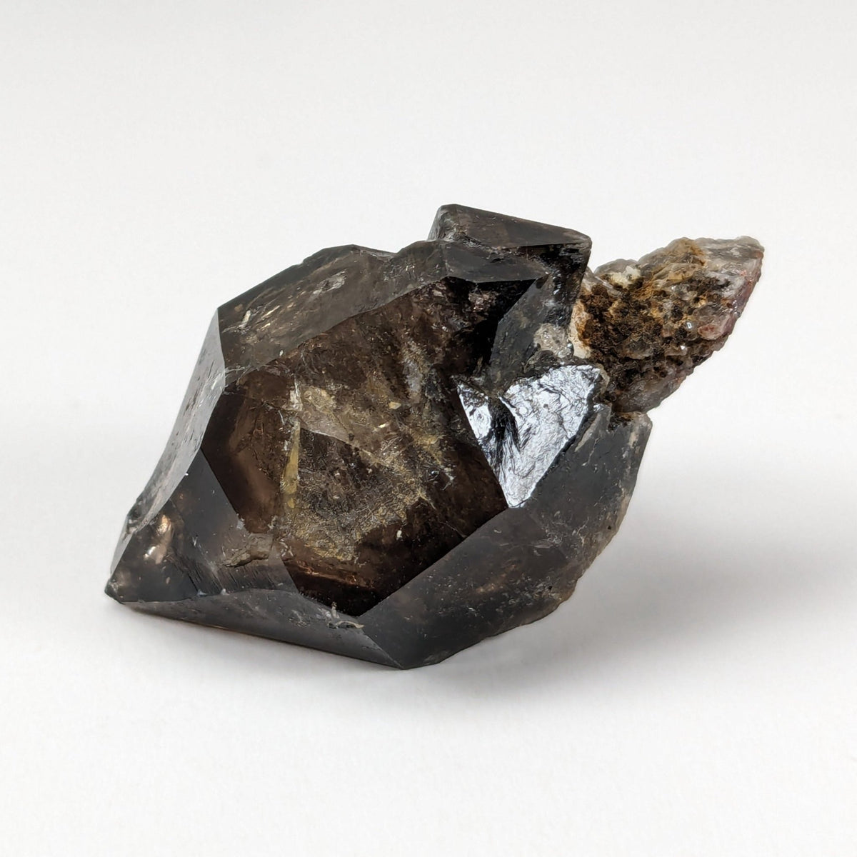  Scepter Smoky Quartz Crystal | 36mm 14gr | Mont St-Hilaire, Quebec, Canada 2