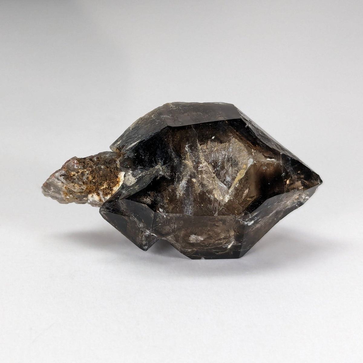  Scepter Smoky Quartz Crystal | 36mm 14gr | Mont St-Hilaire, Quebec, Canada 3