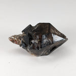  Scepter Smoky Quartz Crystal | 36mm 14gr | Mont St-Hilaire, Quebec, Canada 5