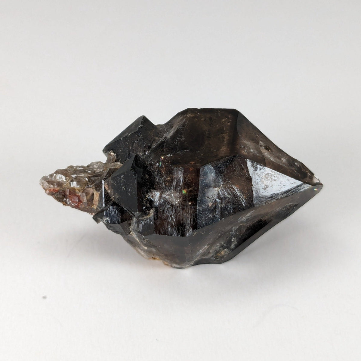  Scepter Smoky Quartz Crystal | 36mm 14gr | Mont St-Hilaire, Quebec, Canada 5