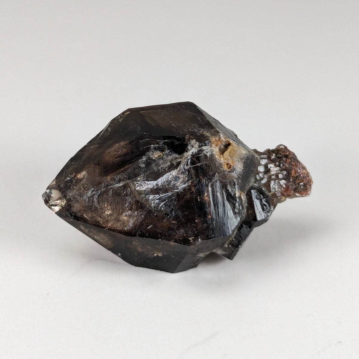  Scepter Smoky Quartz Crystal | 36mm 14gr | Mont St-Hilaire, Quebec, Canada 6