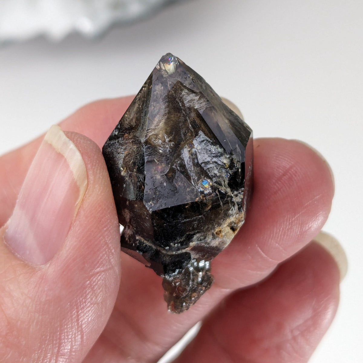  Scepter Smoky Quartz Crystal | 36mm 14gr | Mont St-Hilaire, Quebec, Canada 7