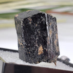  Schorl Tourmaline Crystal | Perky Box Thumbnail Specimen | N. Groton, New Hampshire 