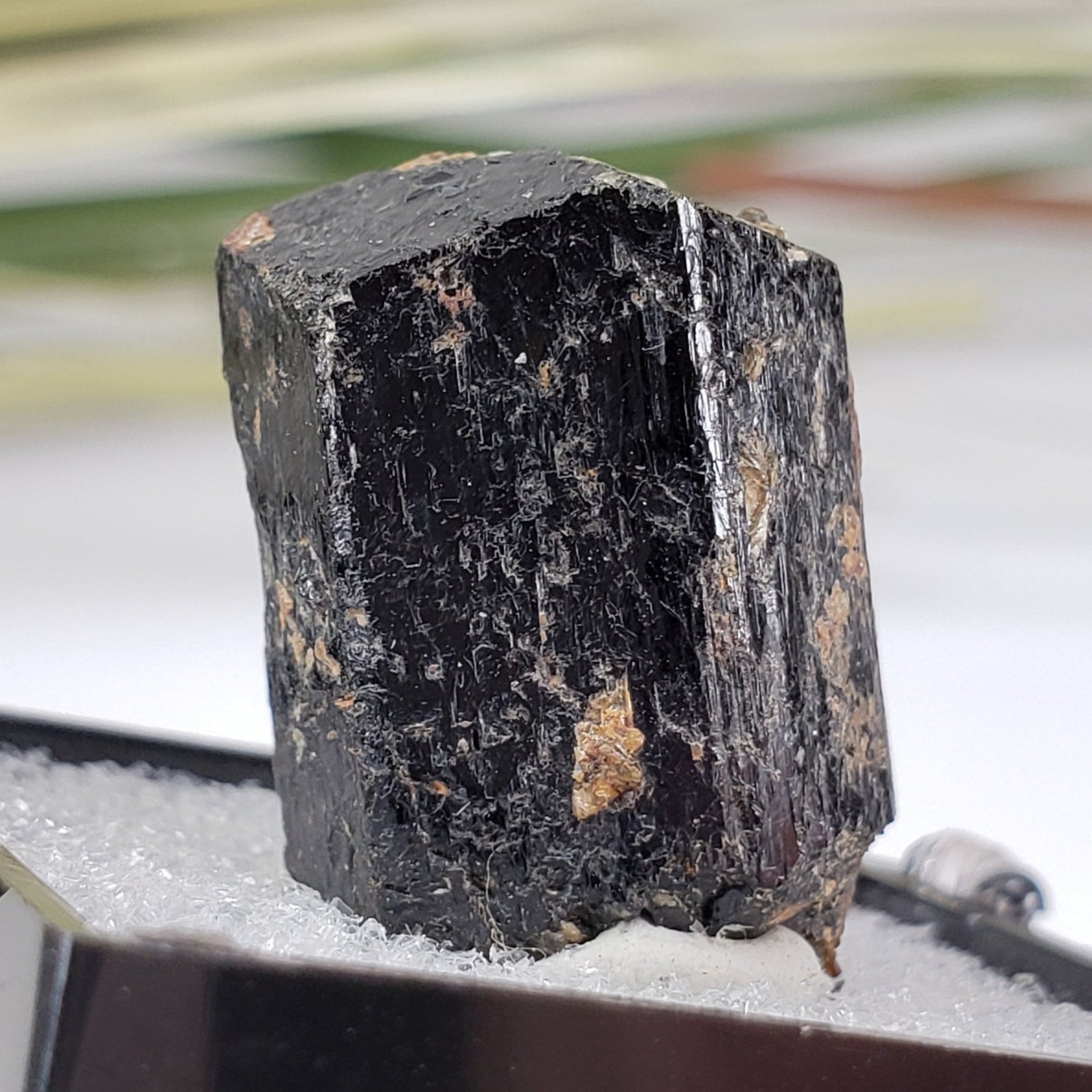  Schorl Tourmaline Crystal | Perky Box Thumbnail Specimen | N. Groton, New Hampshire 