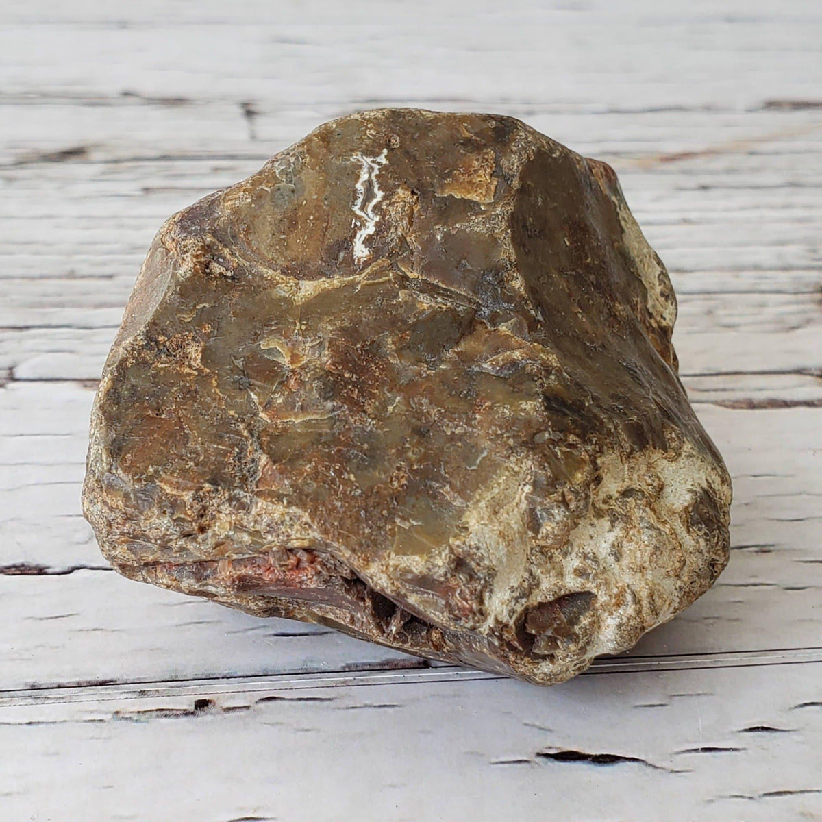  Sea Agate Rare Lapidary Rough, 204 grams, Nova Scotia, Canada | SO24 1