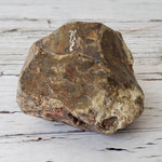  Sea Agate Rare Lapidary Rough, 204 grams, Nova Scotia, Canada | SO24 1