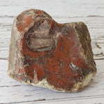  Sea Agate Rare Lapidary Rough, 204 grams, Nova Scotia, Canada | SO24 2