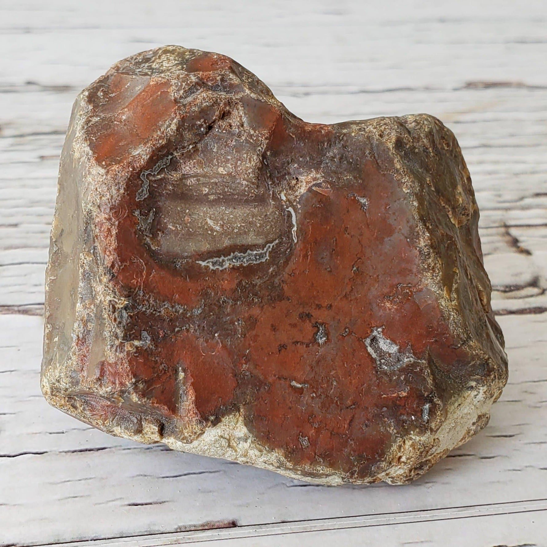  Sea Agate Rare Lapidary Rough, 204 grams, Nova Scotia, Canada | SO24 2