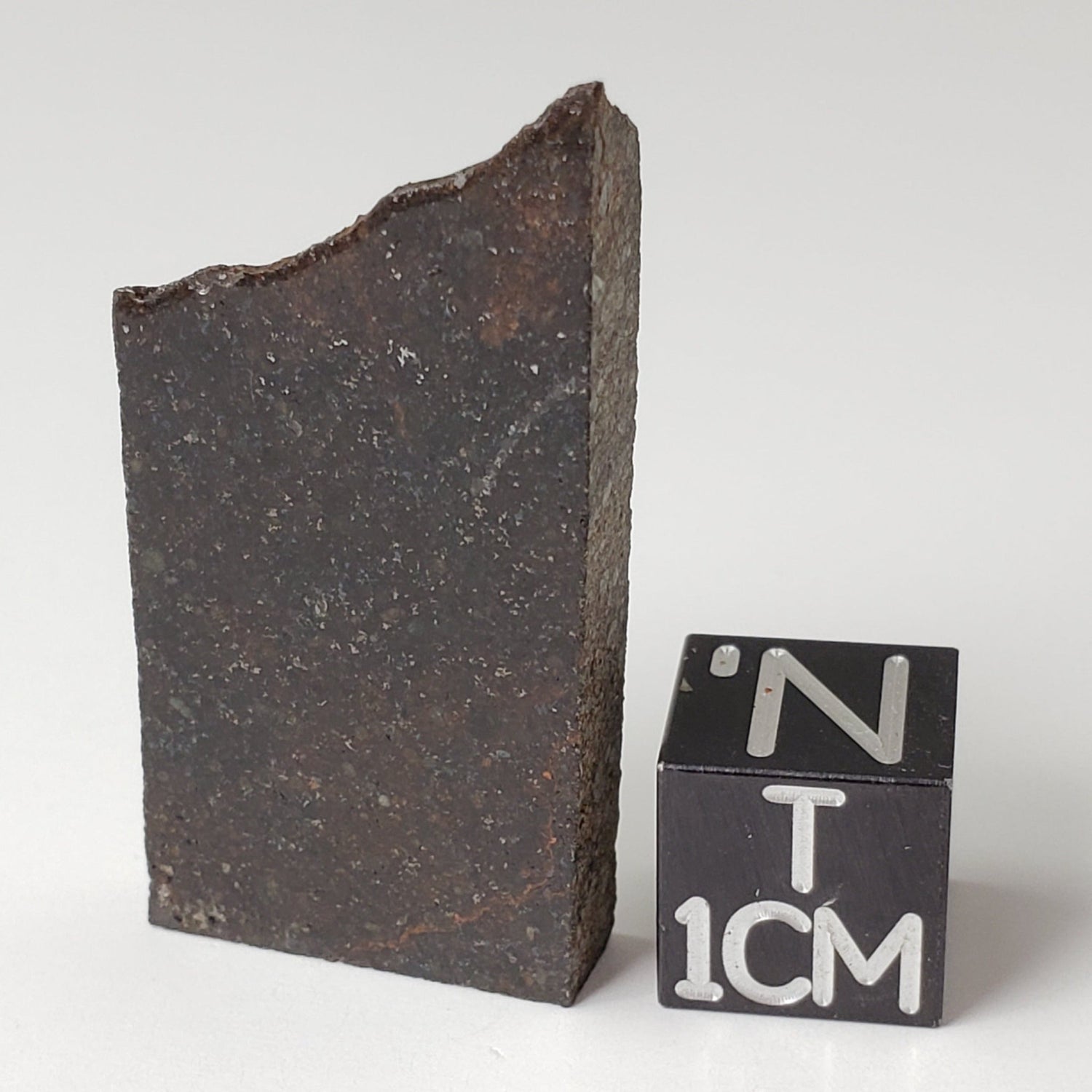  Selma Meteorite | 7.4 Grams | Part Slice | Rare Vintage 1906 | H4 Chondrite | Alabama, USA 