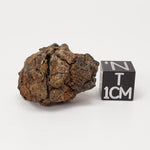  Sericho Meteorite | 11.3 Grams | As found Individual | MG Pallasite | Kenya Africa 