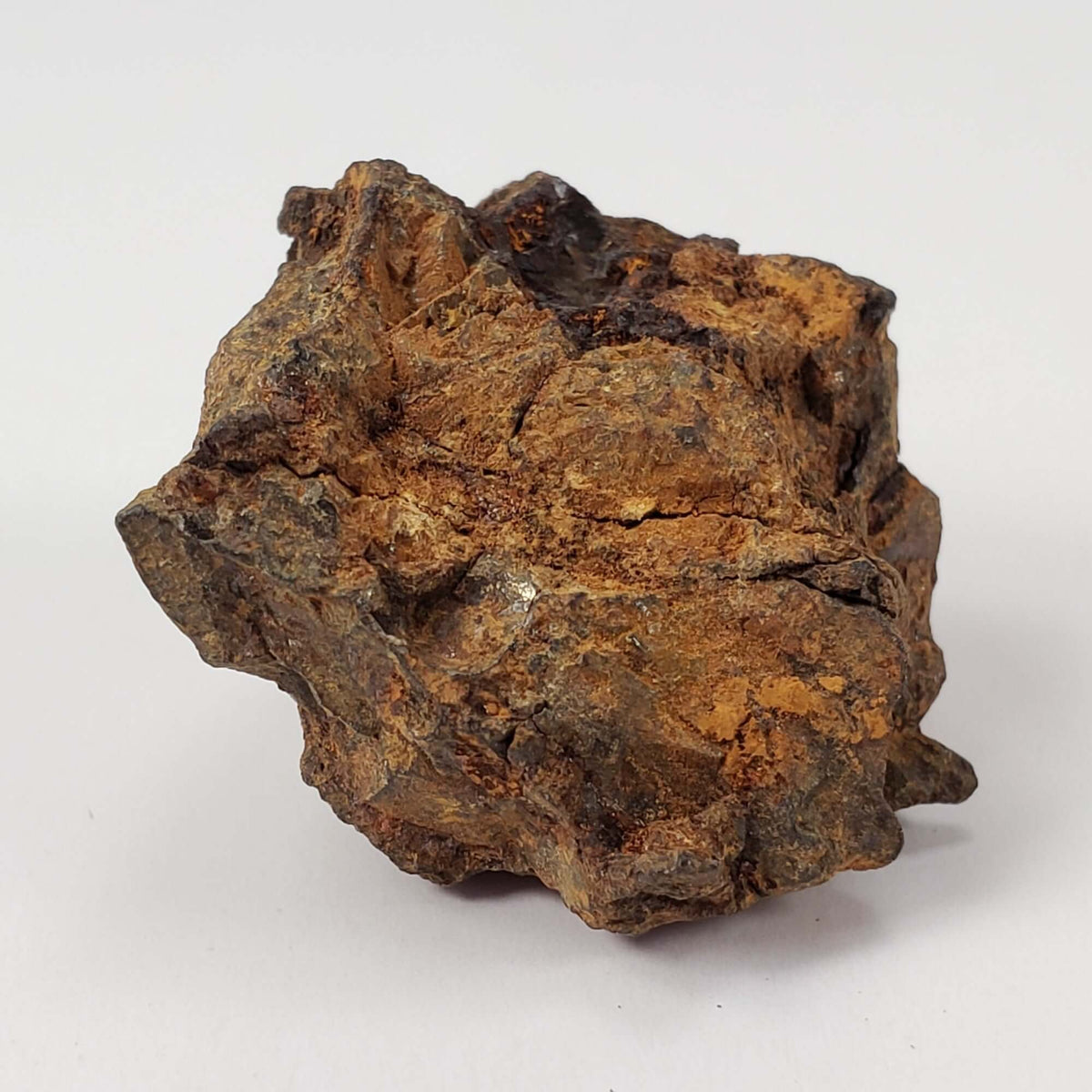  Sericho Meteorite | 16.2 Grams | As found Individual | MG Pallasite | Kenya Africa 5