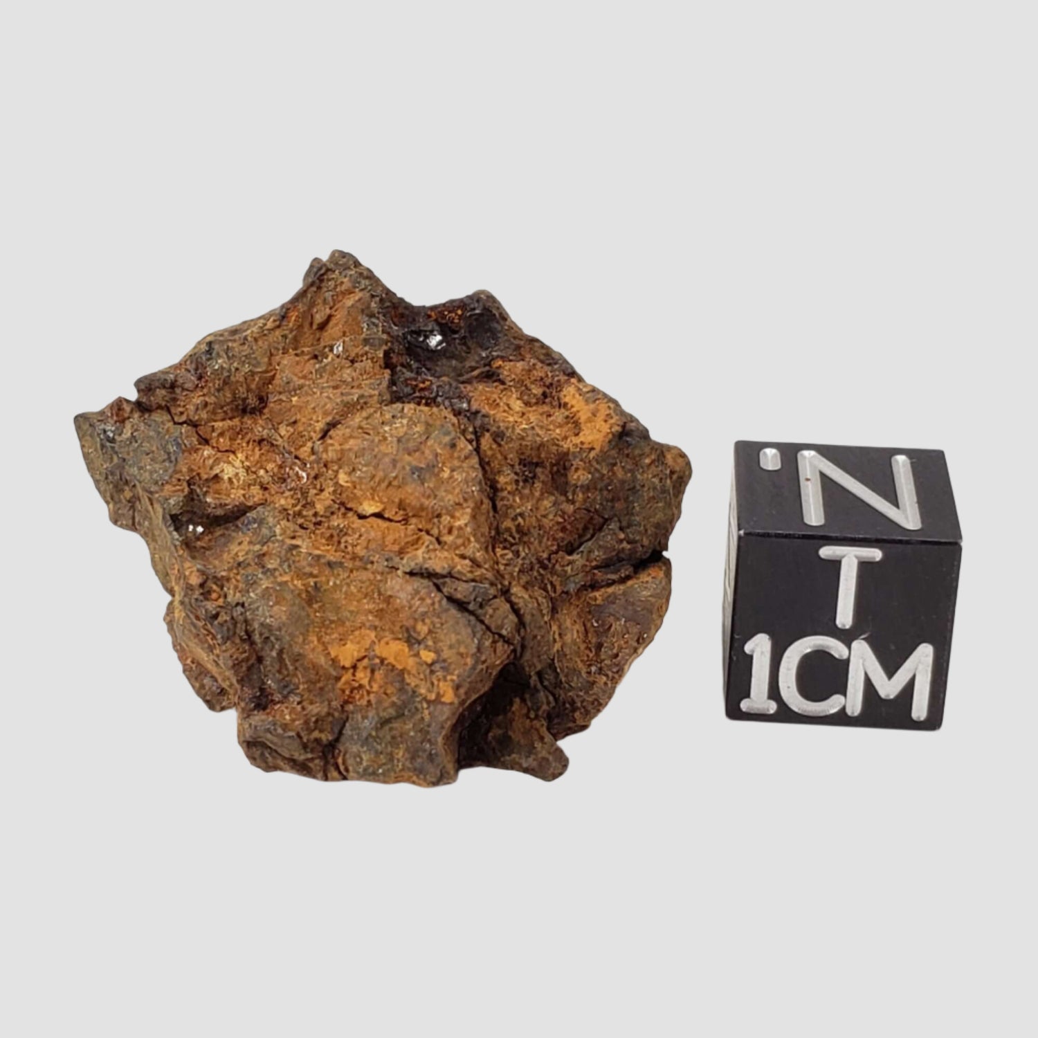  Sericho Meteorite | 16.2 Grams | As found Individual | MG Pallasite | Kenya Africa 