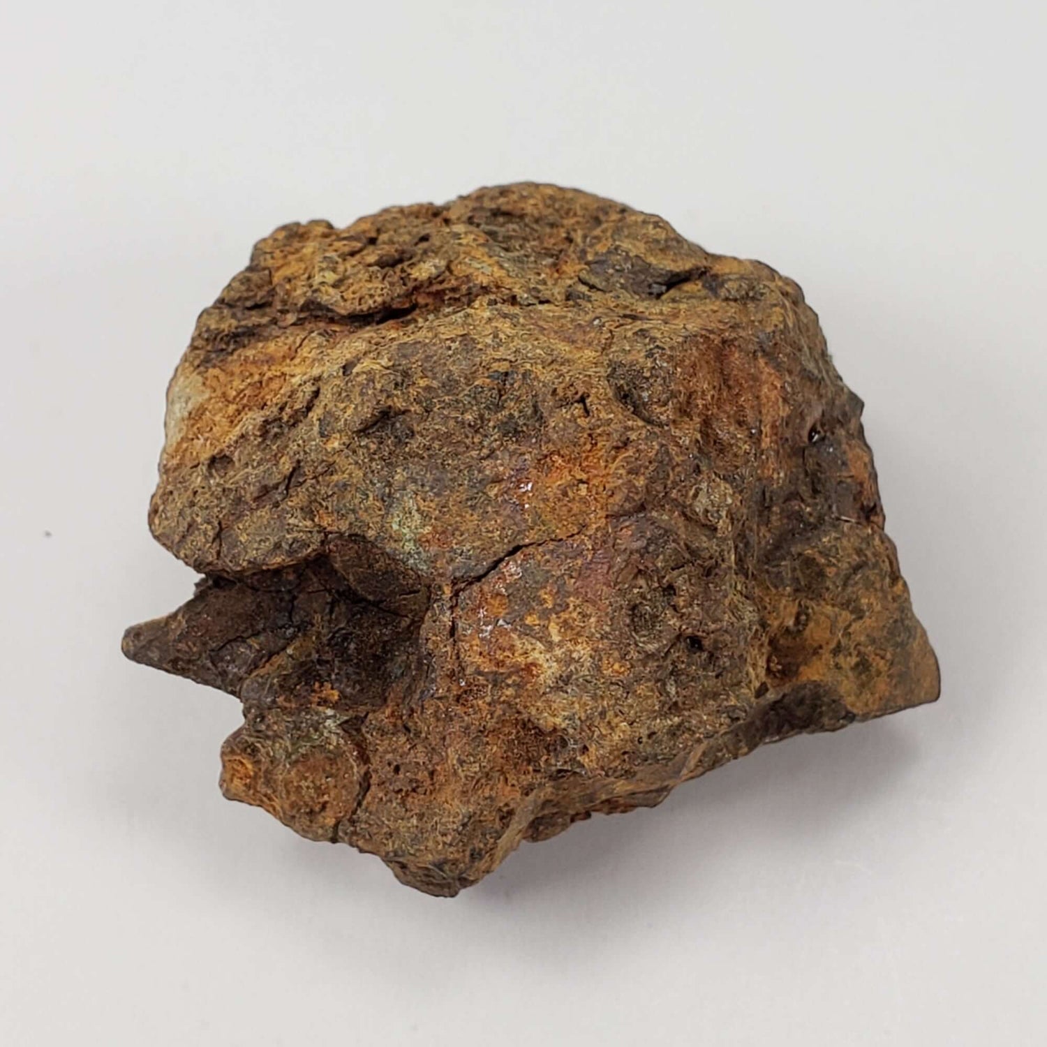  Sericho Meteorite | 16.2 Grams | As found Individual | MG Pallasite | Kenya Africa 1