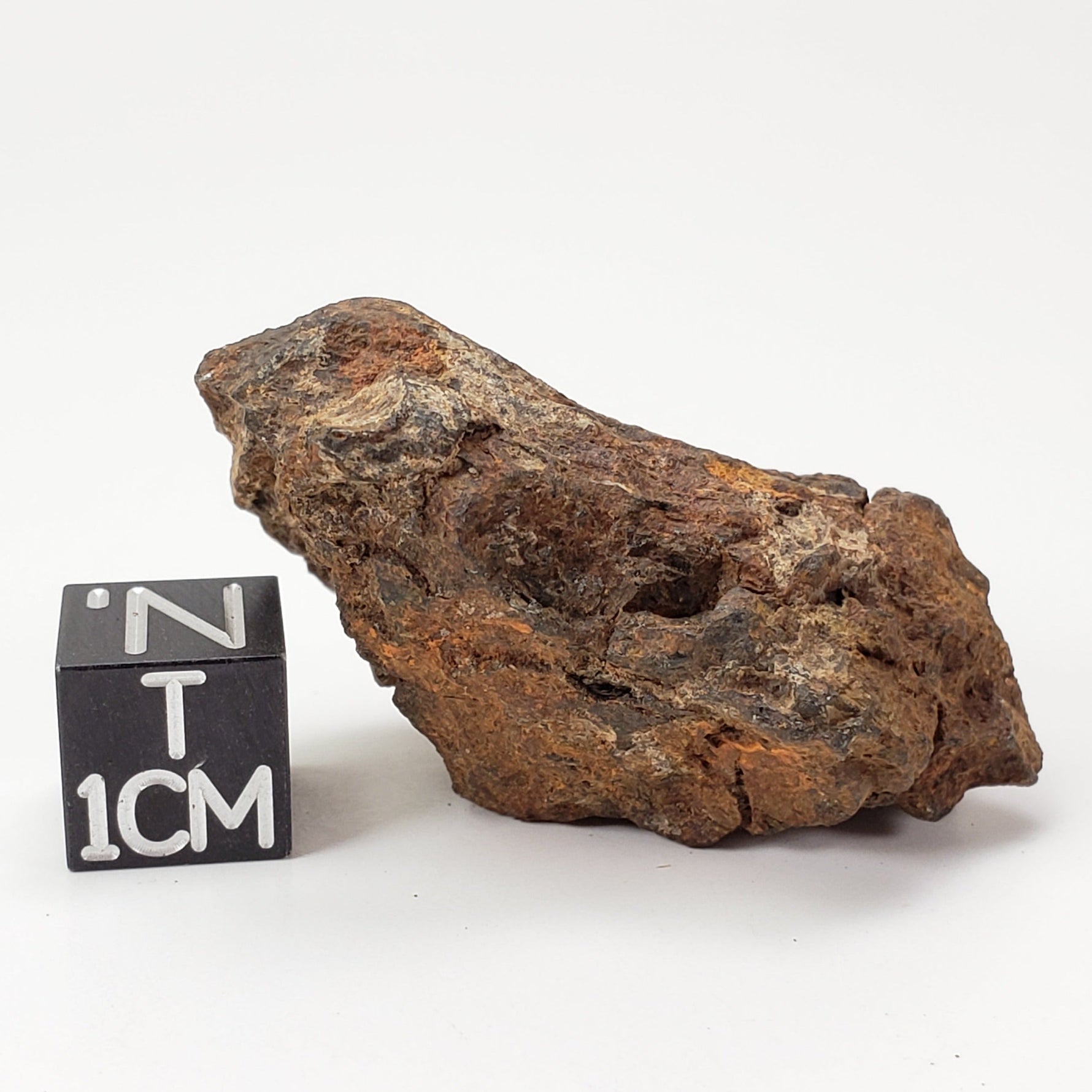  Sericho Meteorite | 22 Grams | As found Individual | MG Pallasite | Kenya Africa 