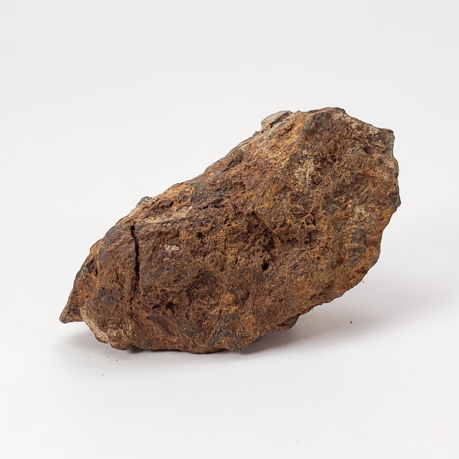  Sericho Meteorite | 22 Grams | As found Individual | MG Pallasite | Kenya Africa 1
