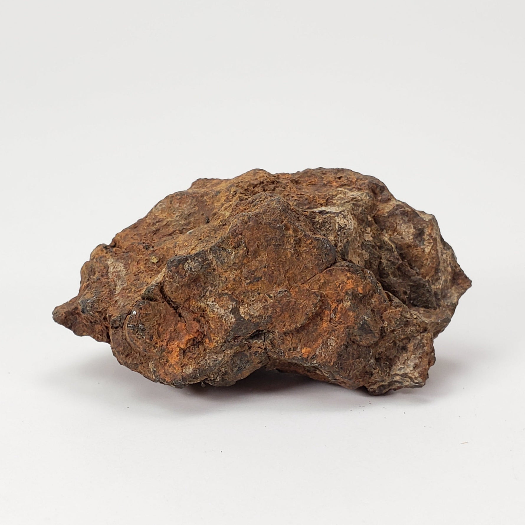  Sericho Meteorite | 22 Grams | As found Individual | MG Pallasite | Kenya Africa 2