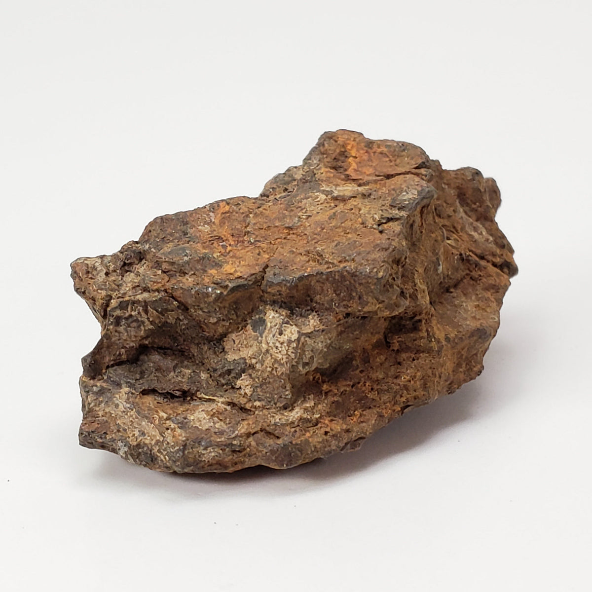  Sericho Meteorite | 22 Grams | As found Individual | MG Pallasite | Kenya Africa 5