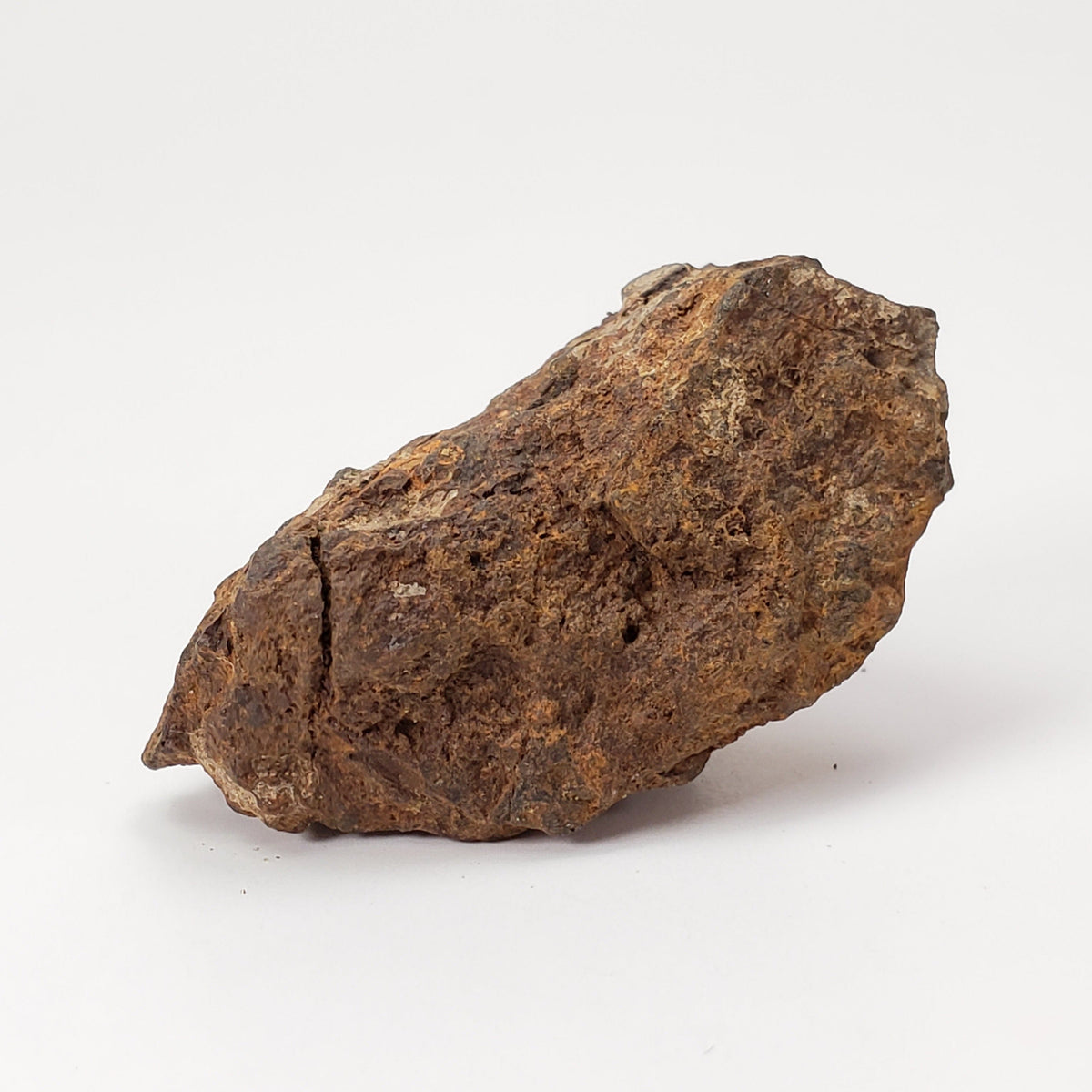  Sericho Meteorite | 22 Grams | As found Individual | MG Pallasite | Kenya Africa 1