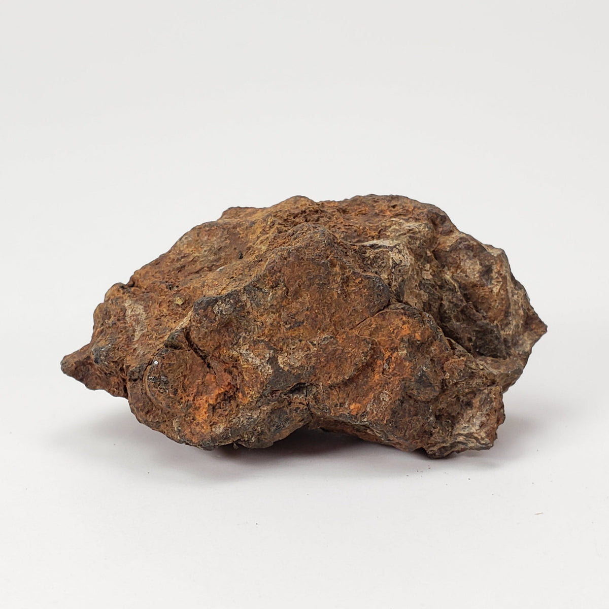  Sericho Meteorite | 22 Grams | As found Individual | MG Pallasite | Kenya Africa 2