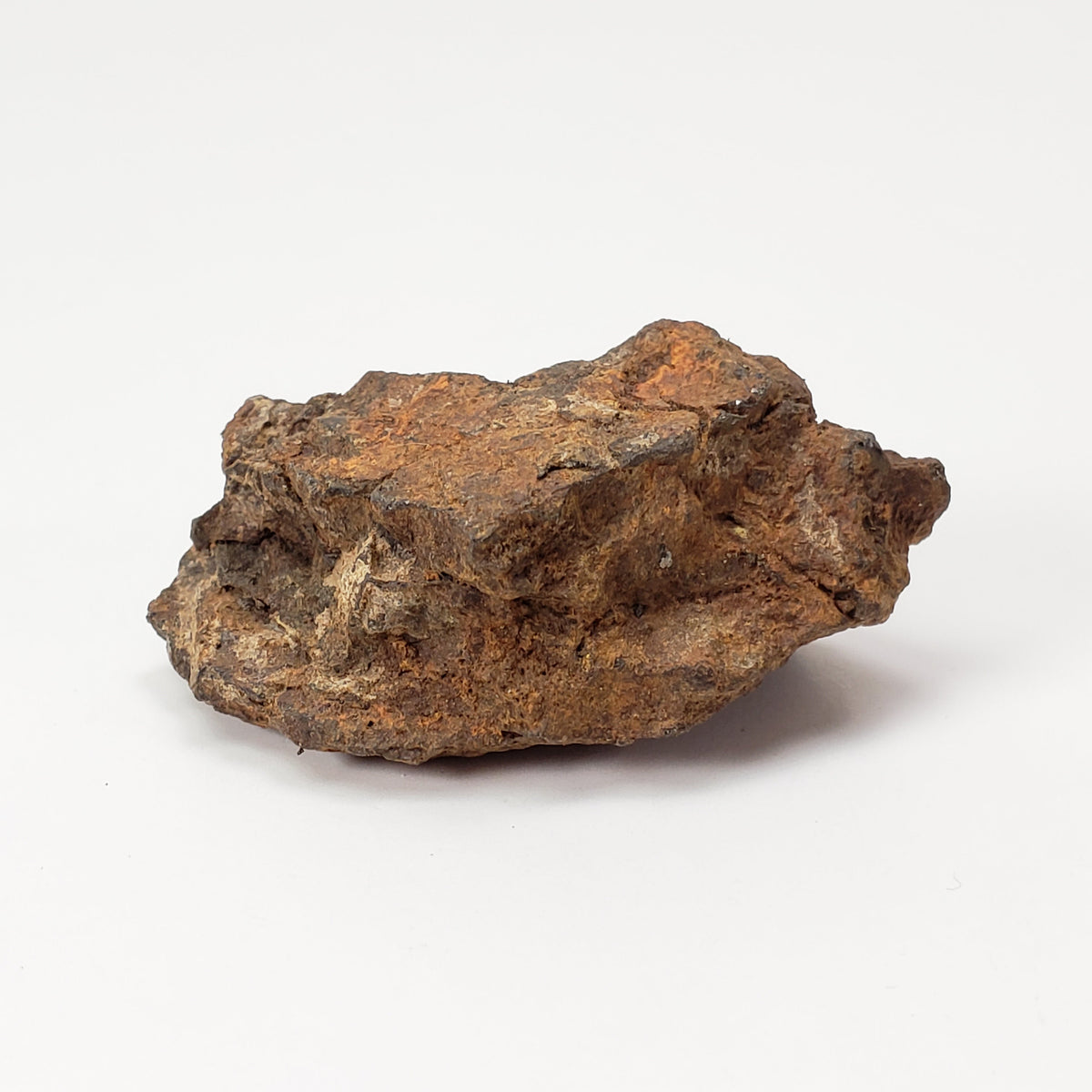 Sericho Meteorite | 22 Grams | As found Individual | MG Pallasite | Kenya Africa 4