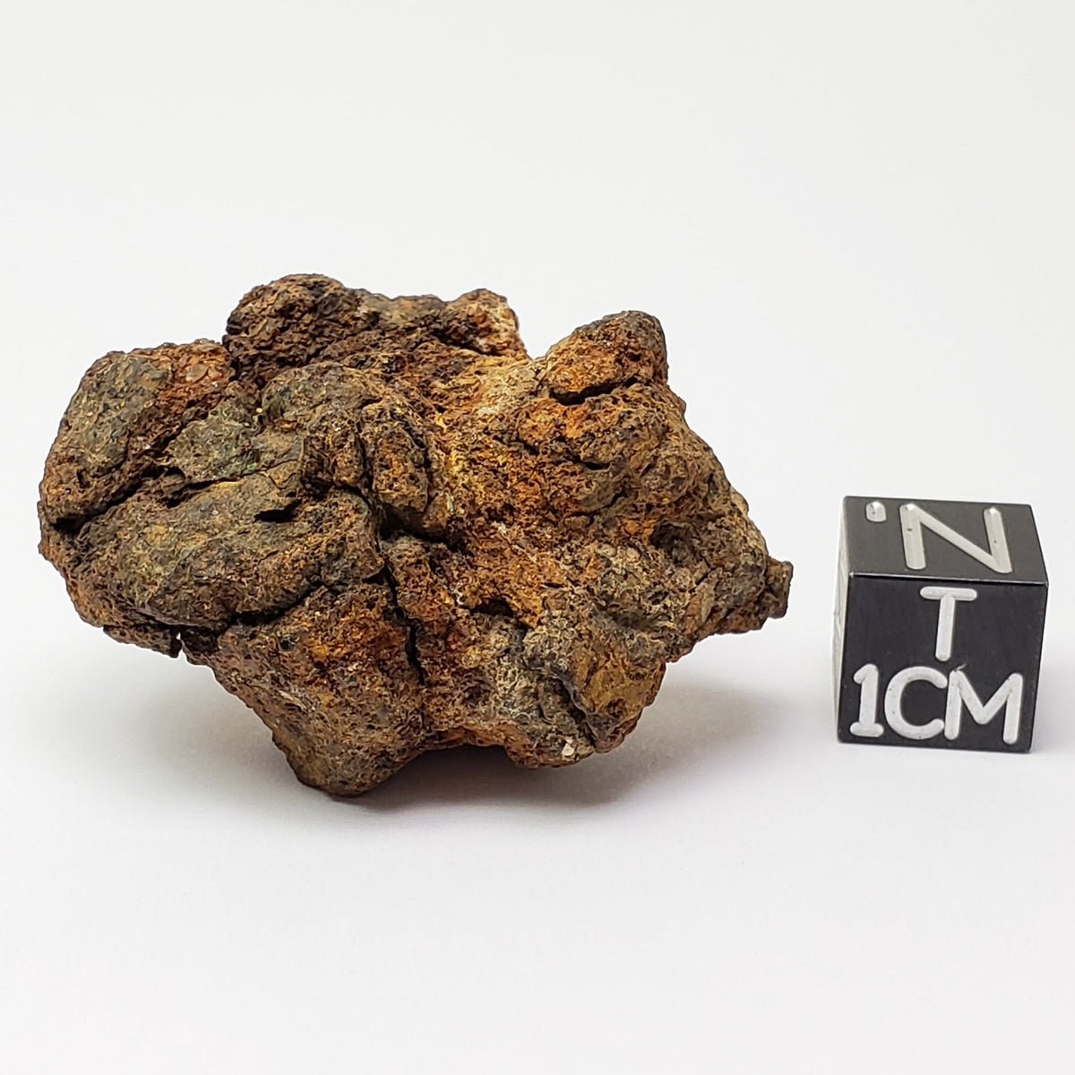  Sericho Meteorite | 23.2 Grams | As found Individual | MG Pallasite | Kenya Africa 