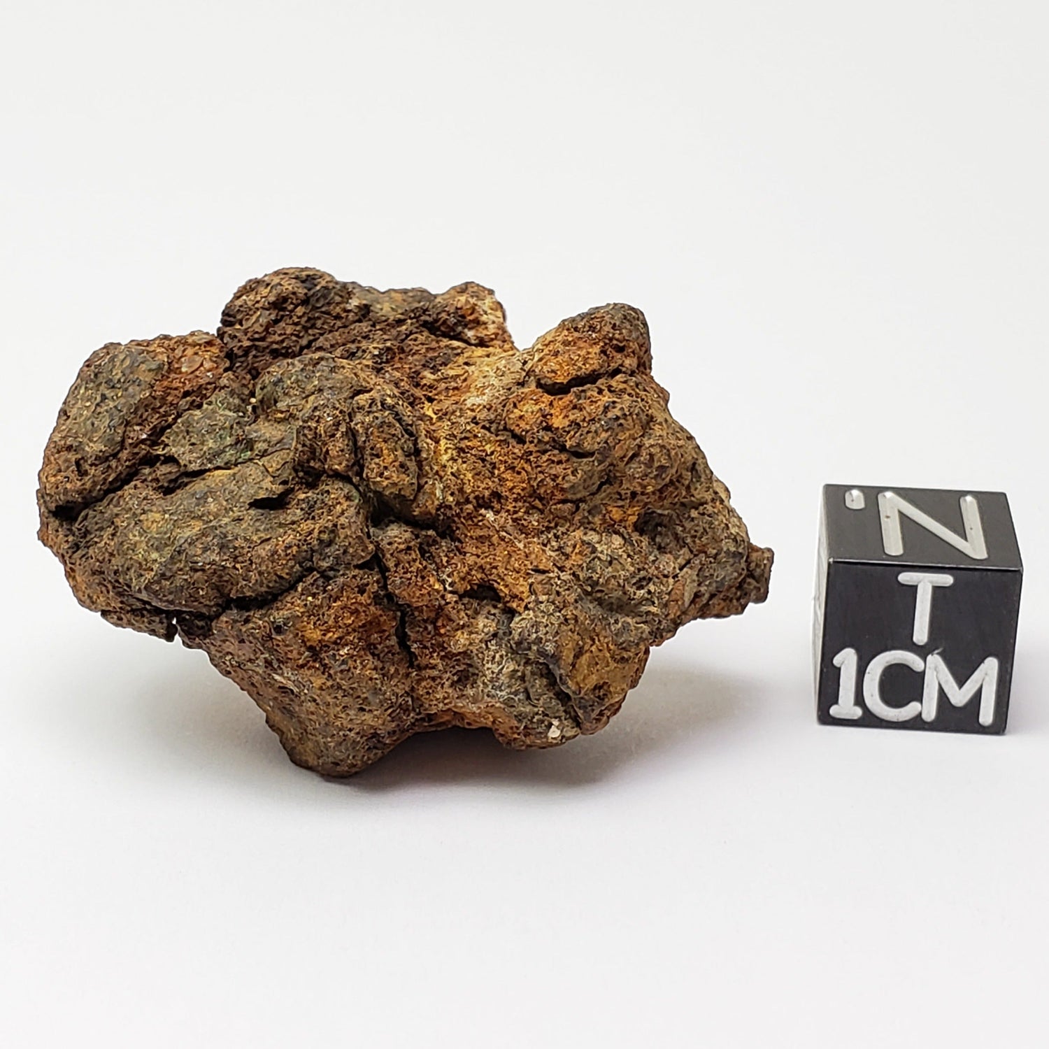  Sericho Meteorite | 23.2 Grams | As found Individual | MG Pallasite | Kenya Africa 
