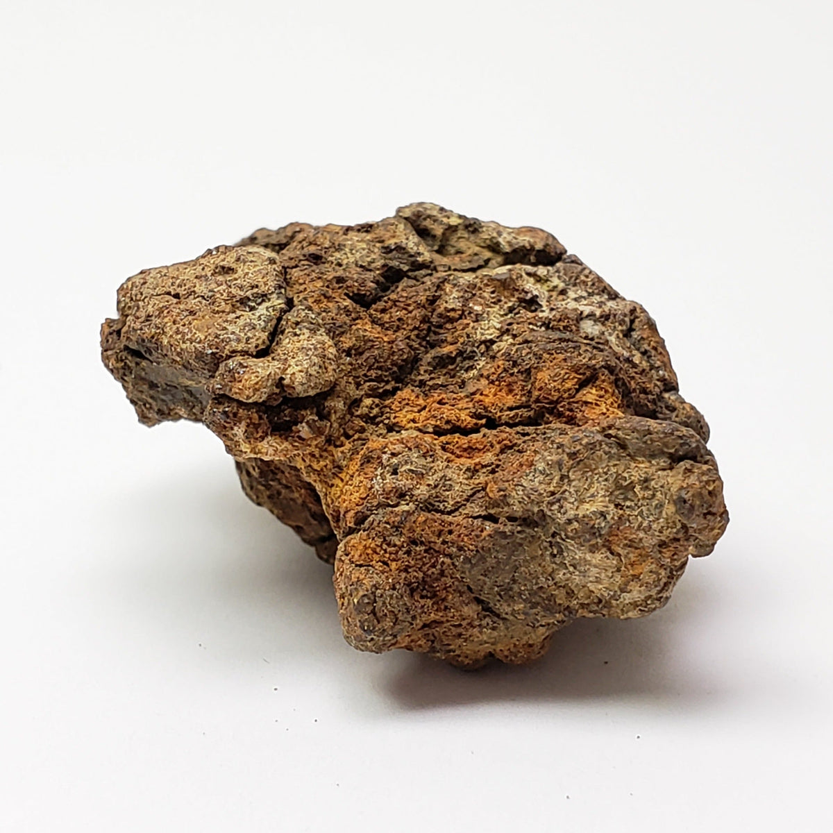  Sericho Meteorite | 23.2 Grams | As found Individual | MG Pallasite | Kenya Africa 1