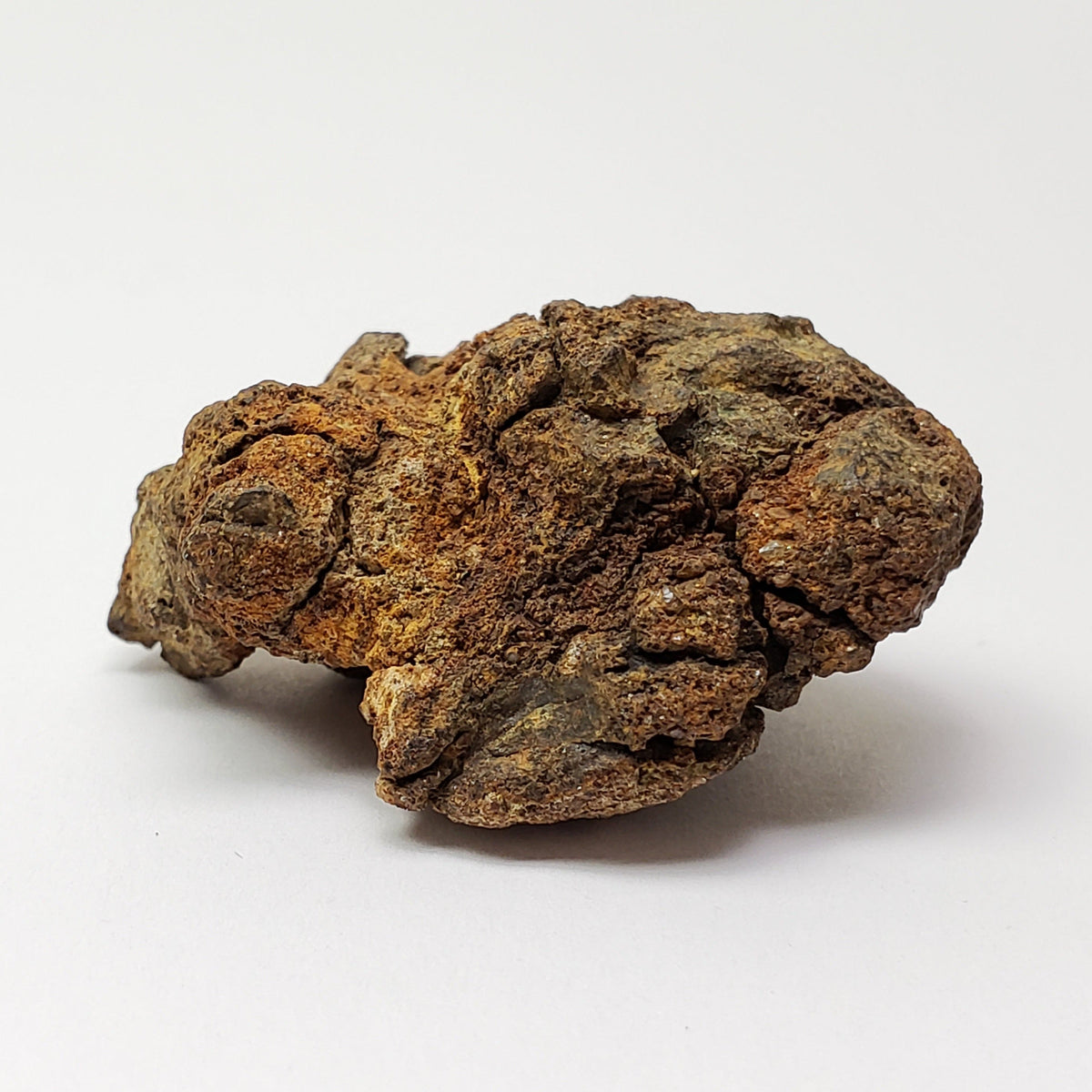  Sericho Meteorite | 23.2 Grams | As found Individual | MG Pallasite | Kenya Africa 2
