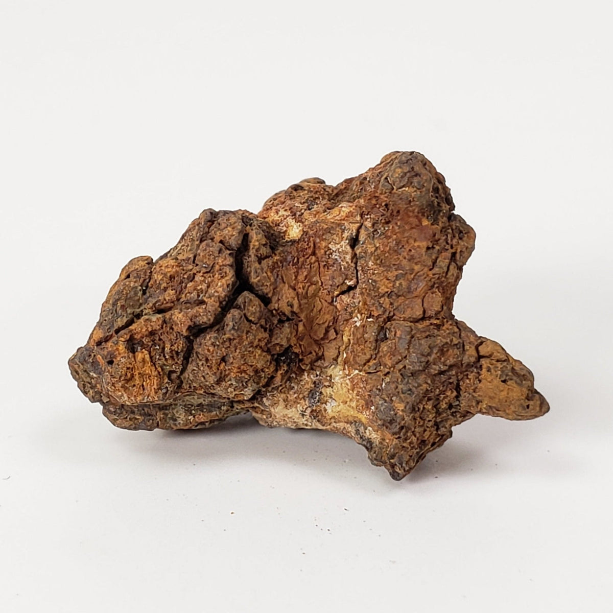  Sericho Meteorite | 7 Grams | As found Individual | MG Pallasite | Kenya Africa | SO24 3