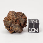  Sericho Meteorite | 9.8 Grams | As found Individual | MG Pallasite | Kenya Africa 