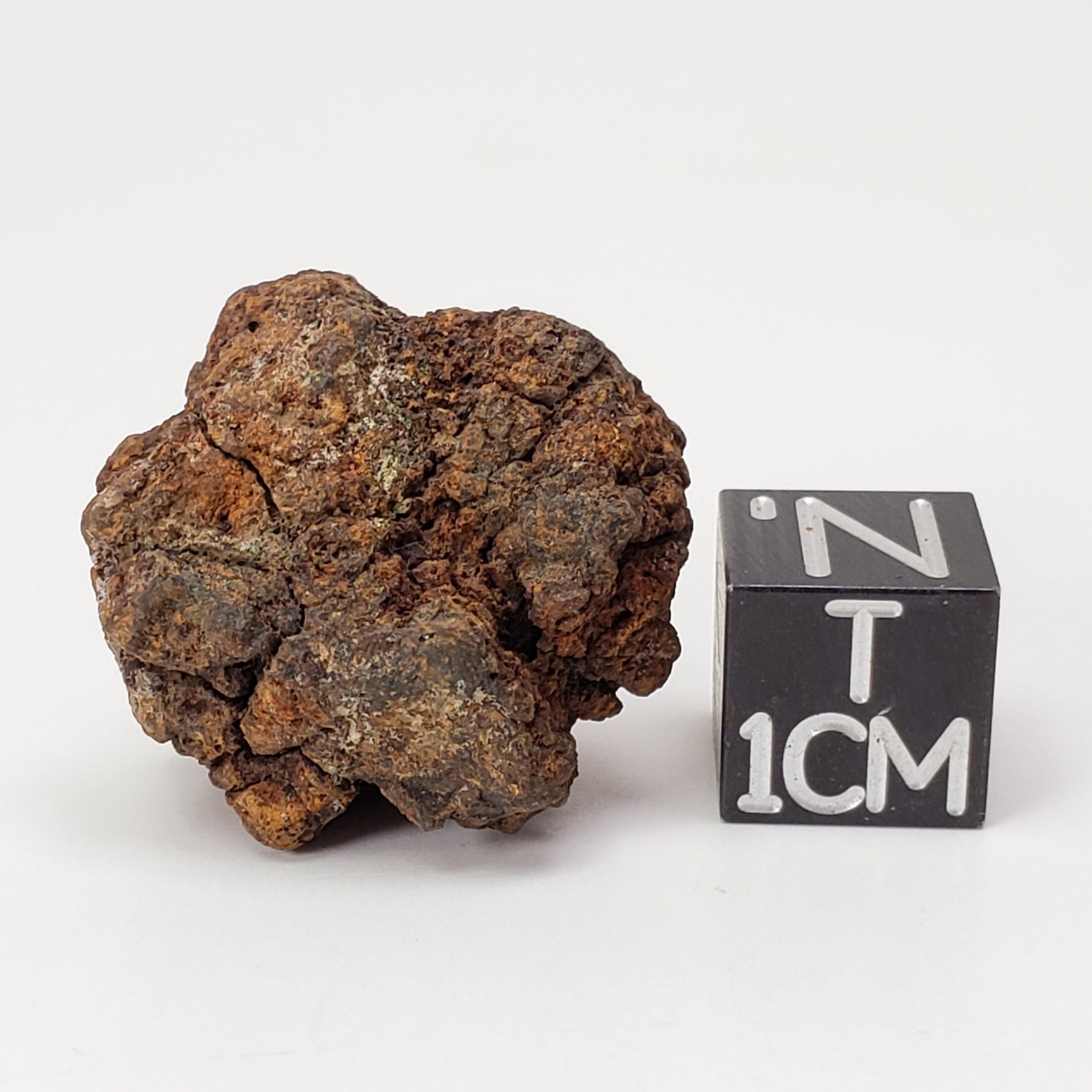  Sericho Meteorite | 9.8 Grams | As found Individual | MG Pallasite | Kenya Africa 